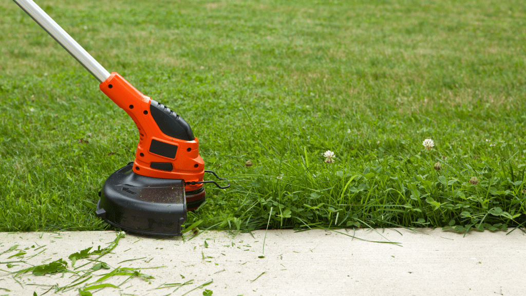 Strimming Lawn Edges