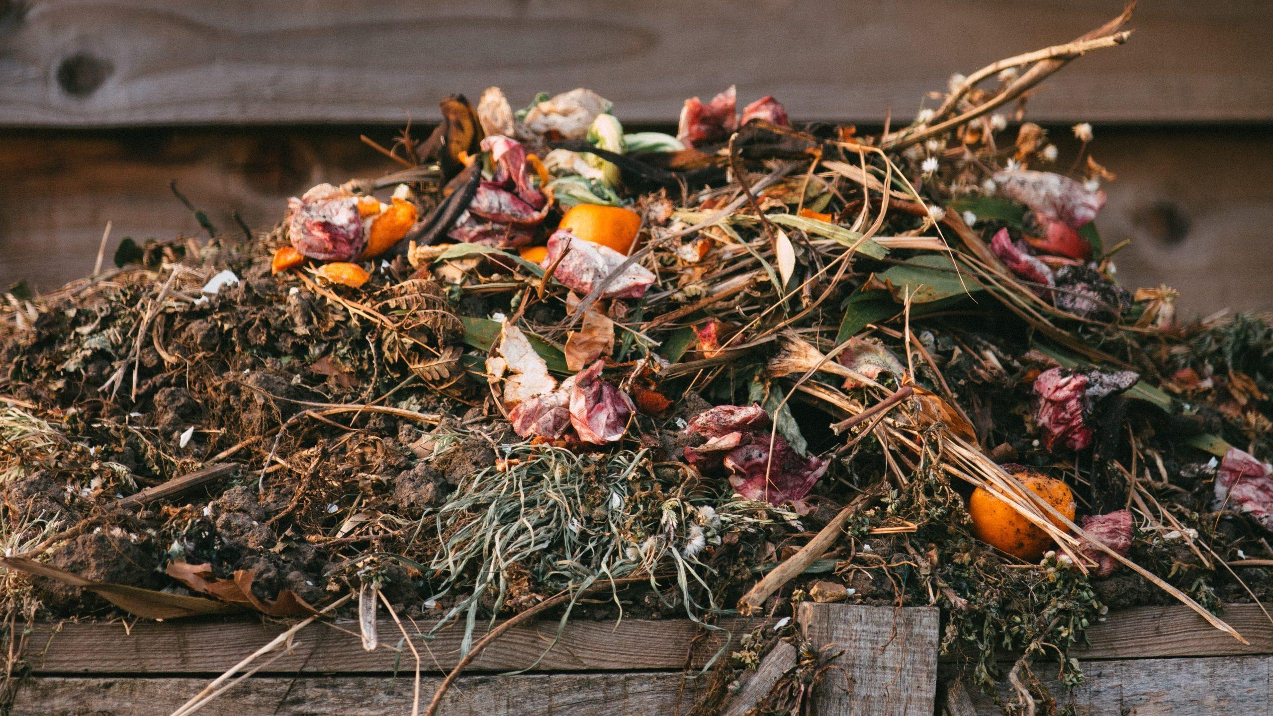 Homemade ComposingPhoto by Edward Howell on Unsplash