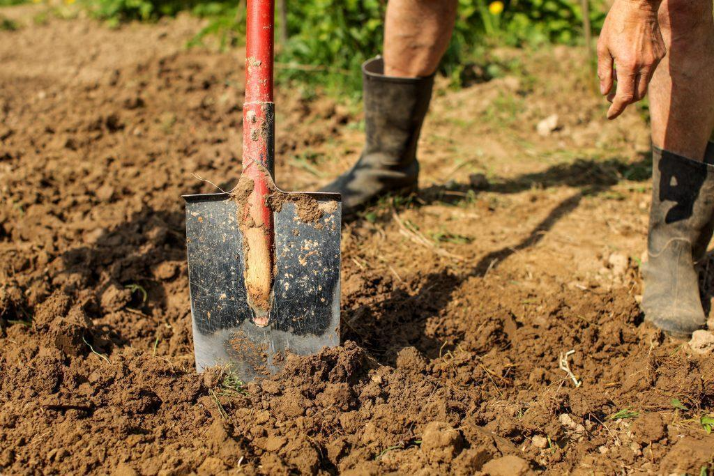 Spade in clay soil