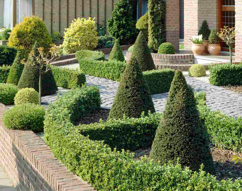 Topiary garden