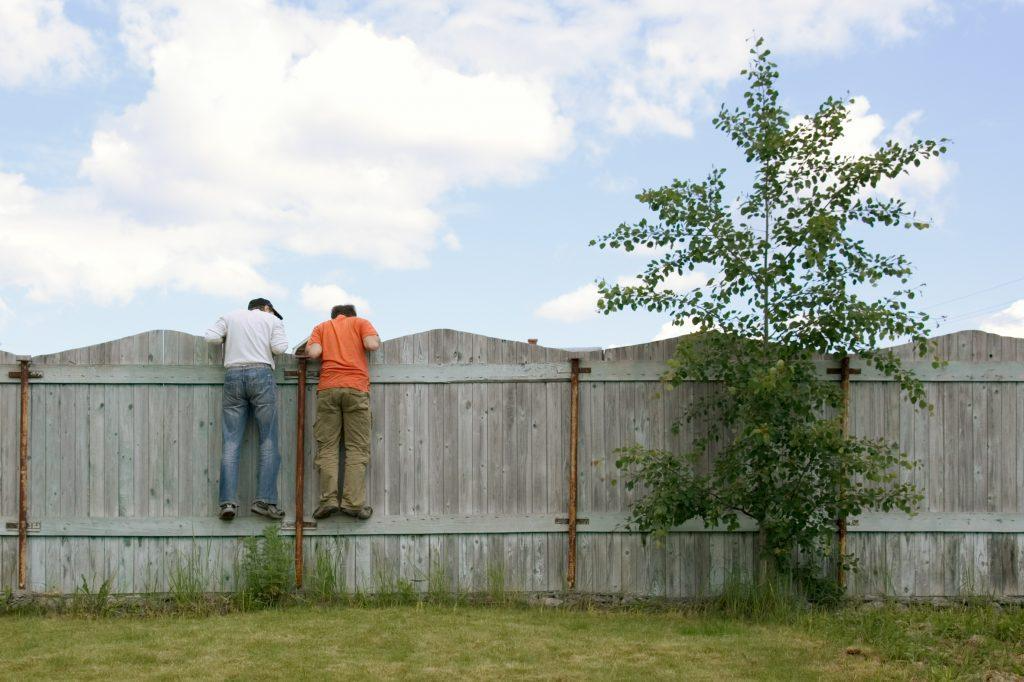 Nosy neighbours peering into terraced garden