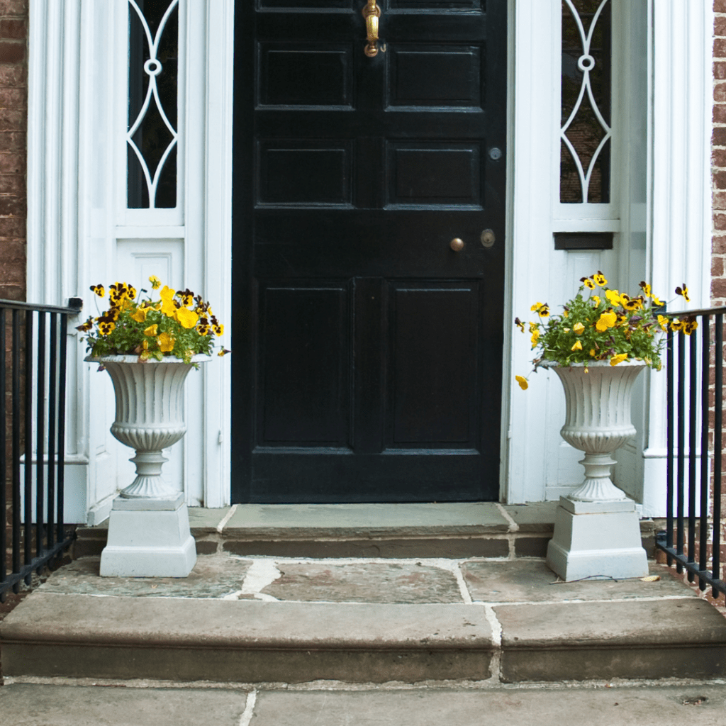 Petunias make perfect front door plants