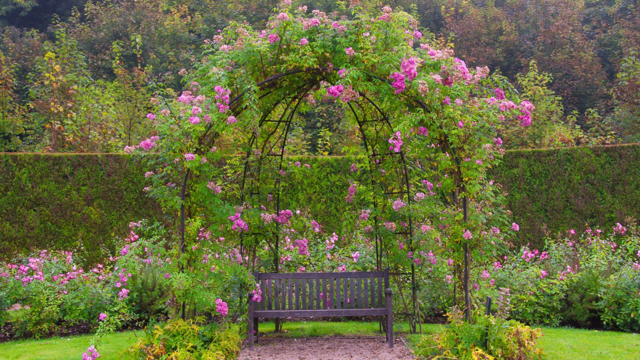 When adding hardscape, seating, and structures like arbours and pergolas, which are typically found in rose gardens, keep scale in mind.