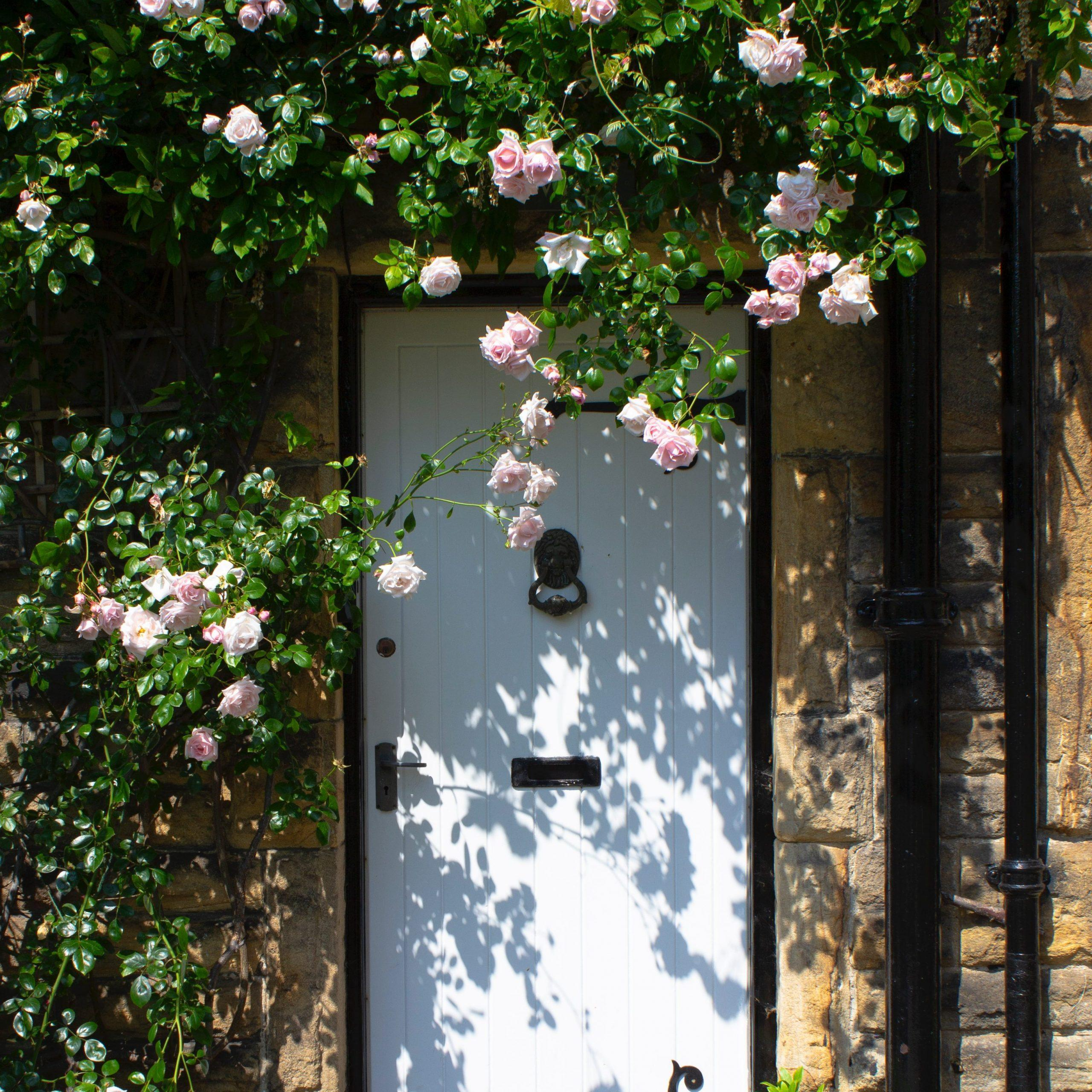 Photo by Darren Richardson