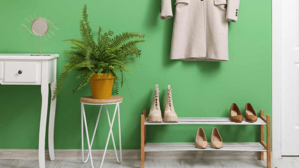 Plant in Plant Stand