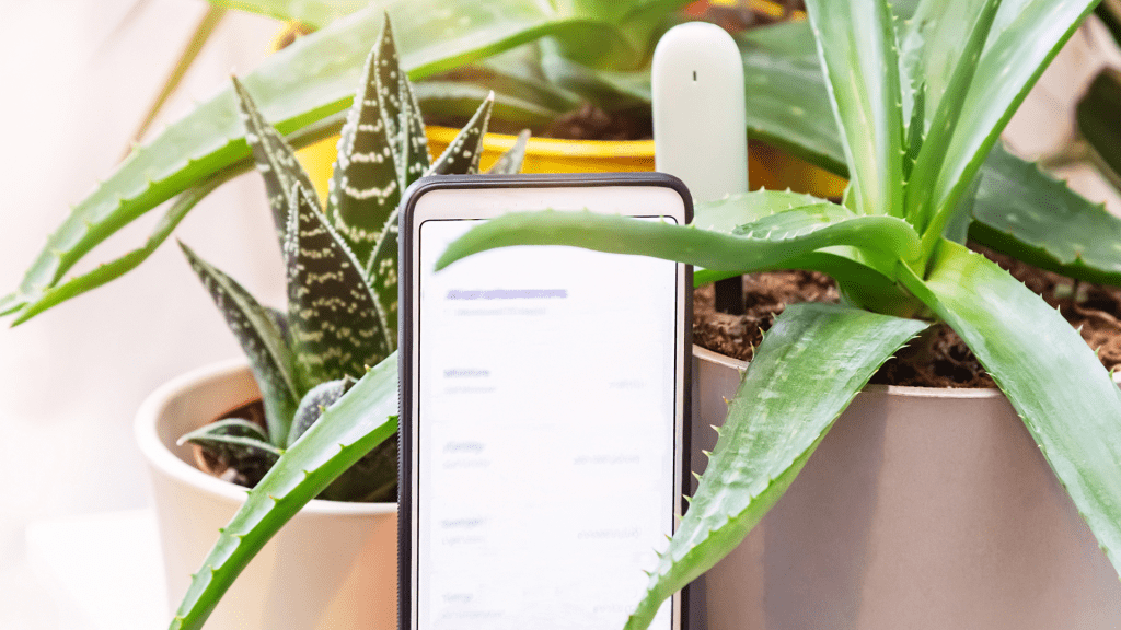 Smart Houseplant Care Technology