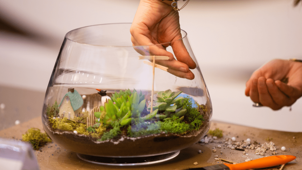 Terrarium being created