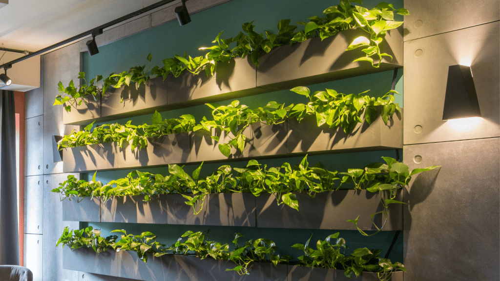 Houseplant Living Wall