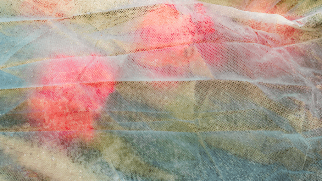 Frost protection fleece over plants in greenhouse