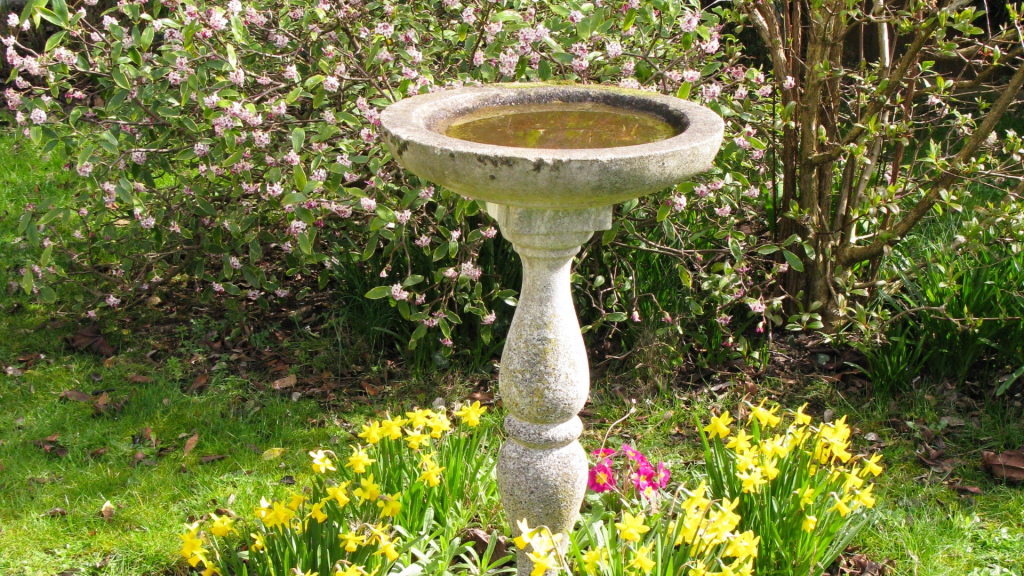 Bird Bath in Flower Bed